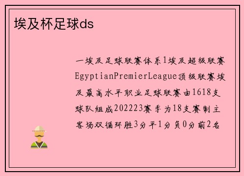 埃及杯足球ds
